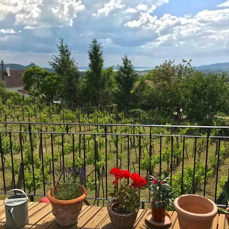 Prázdninový dům Szivecske Haz - *