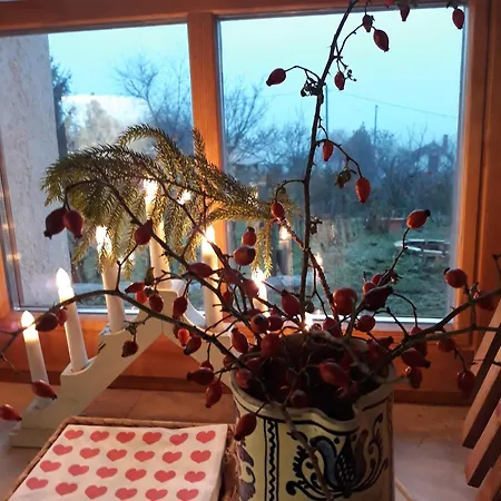 Szivecske Haz - * Hegymagas