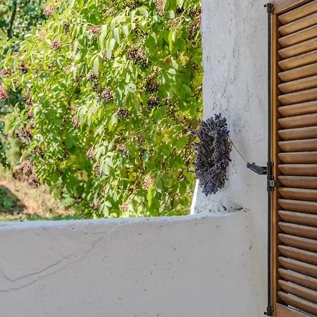 Szivecske Haz - Prázdninový dům *